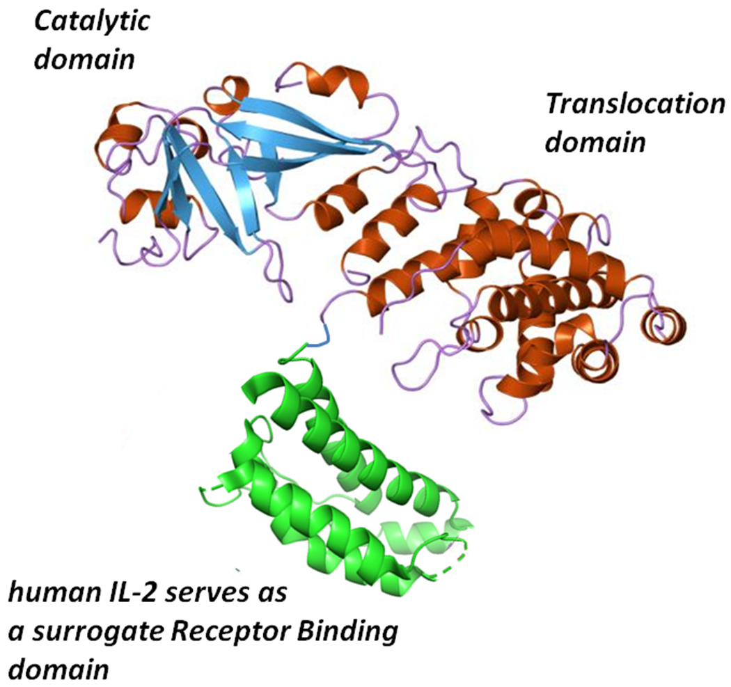 Figure 7: