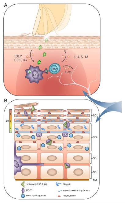 Fig 2