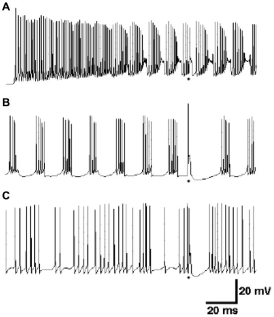 Figure 10