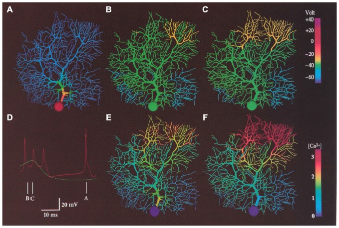 Figure 12