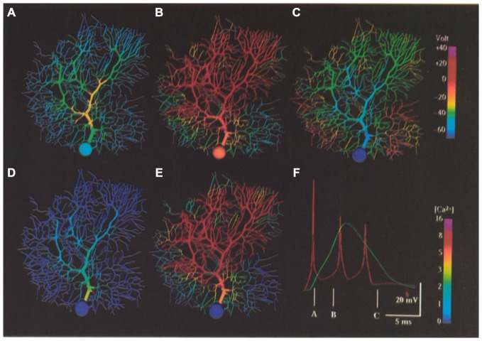 Figure 11