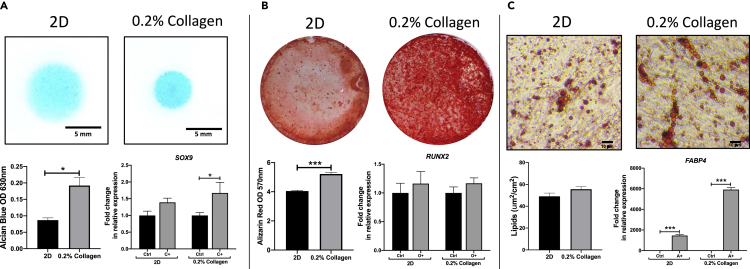 Figure 5