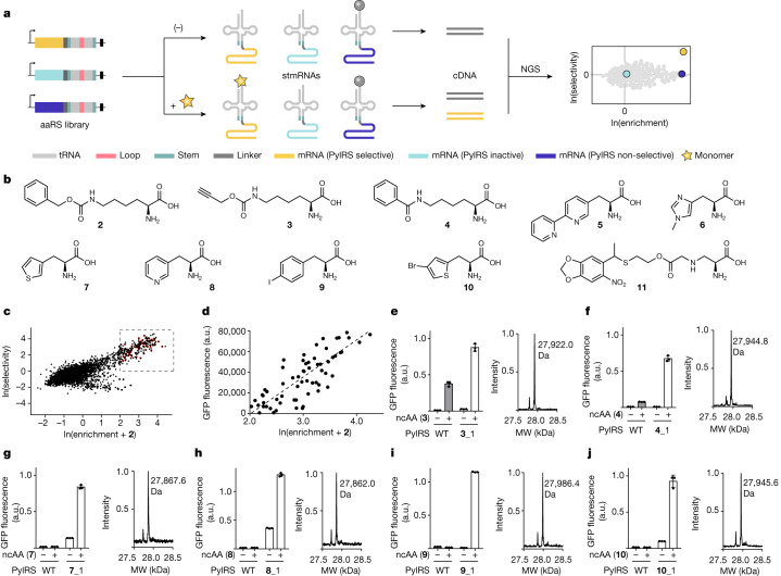 Fig. 4