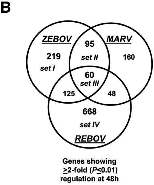 FIG.2.