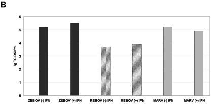 FIG.4.