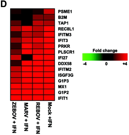 FIG.4.