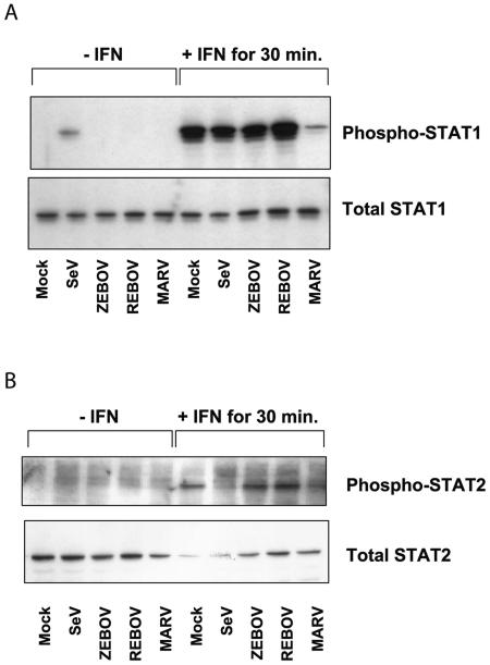 FIG.5.