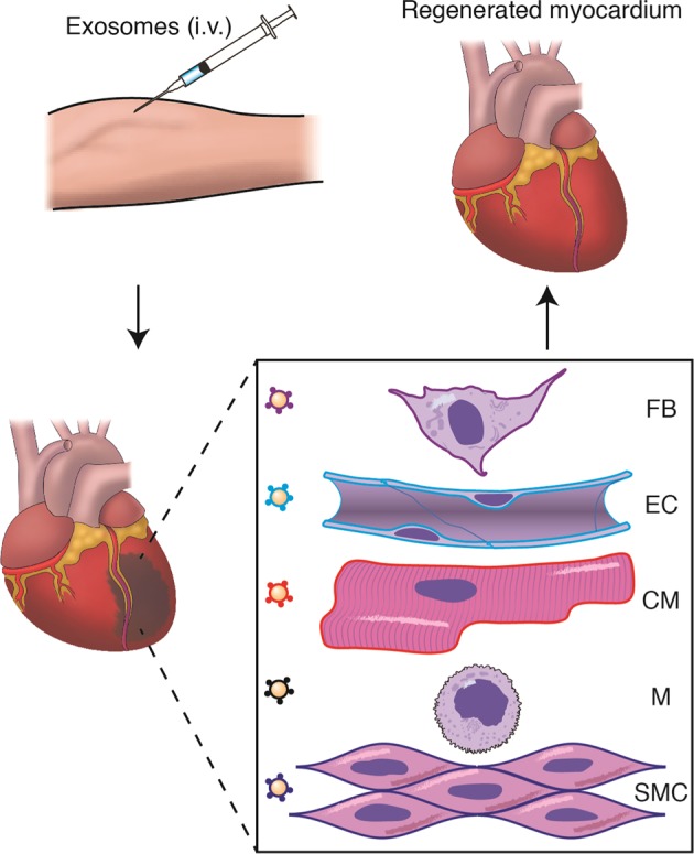 Fig. 4