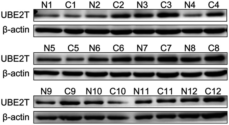 Figure 6.