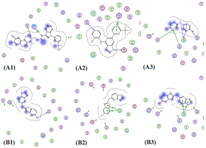 Figure 13