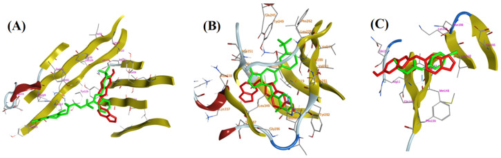 Figure 12