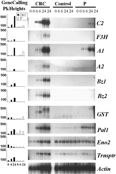 Figure 6.