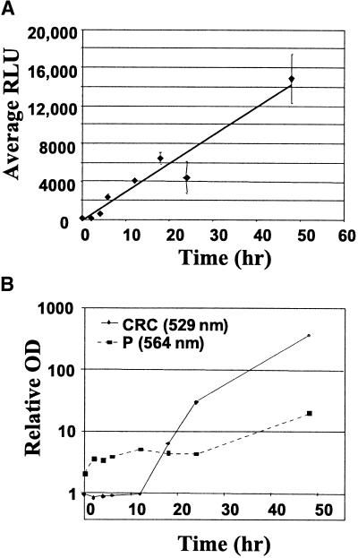 Figure 3.