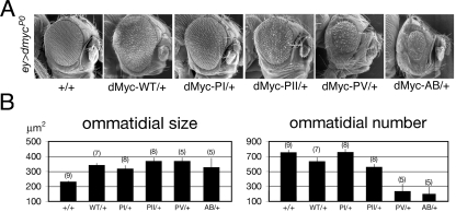 FIG. 8.