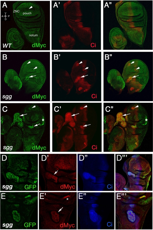 FIG. 4.