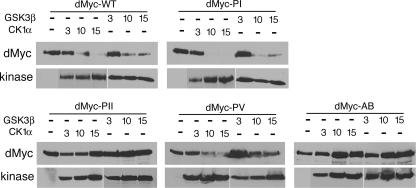 FIG. 7.