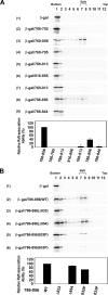 FIG. 9.