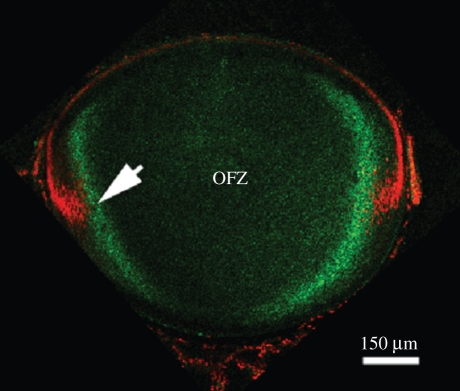 Figure 6.