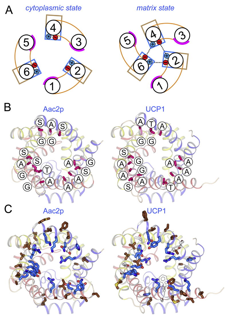 Fig. 9