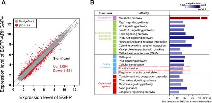 FIGURE 1: