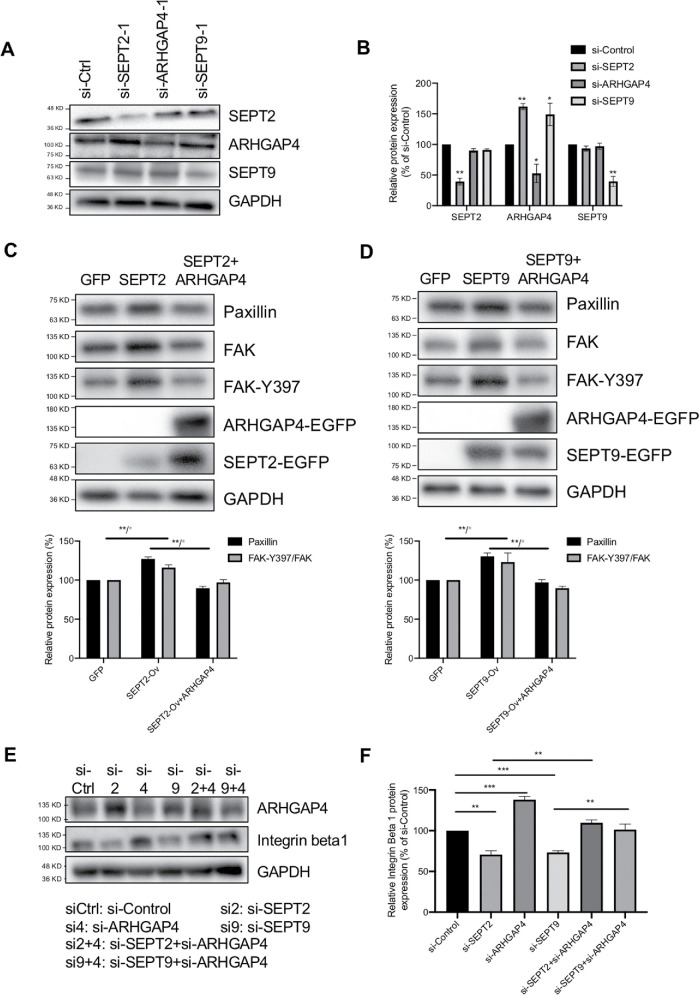 FIGURE 6: