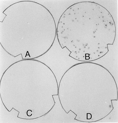 FIG. 5