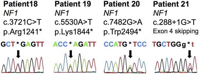 Fig 6