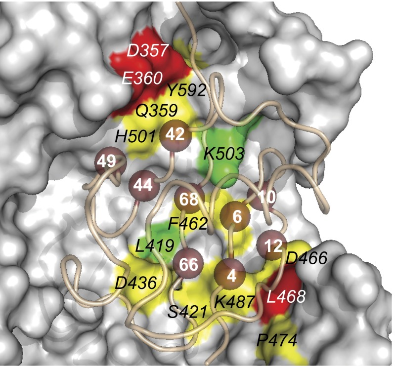 Fig. 3.