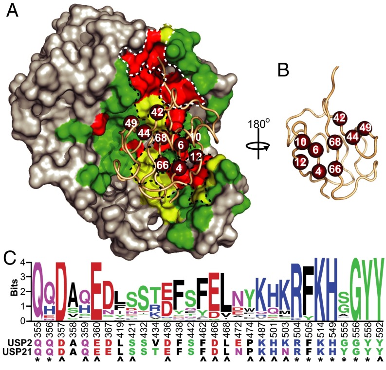 Fig. 2.