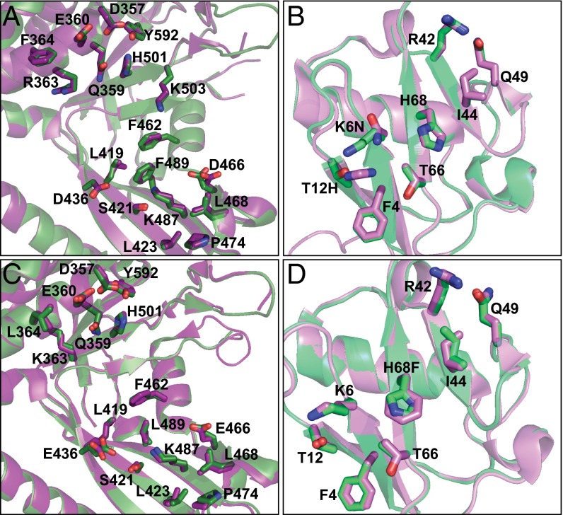 Fig. 4.