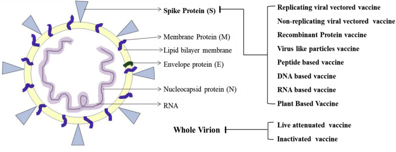 Fig. 1b