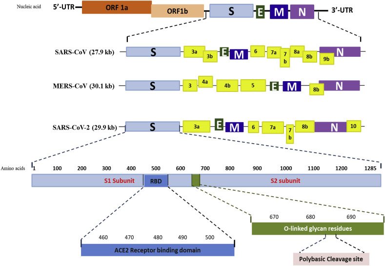 Fig. 1a