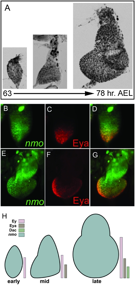 Figure 2.—