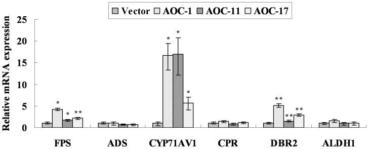 Figure 6