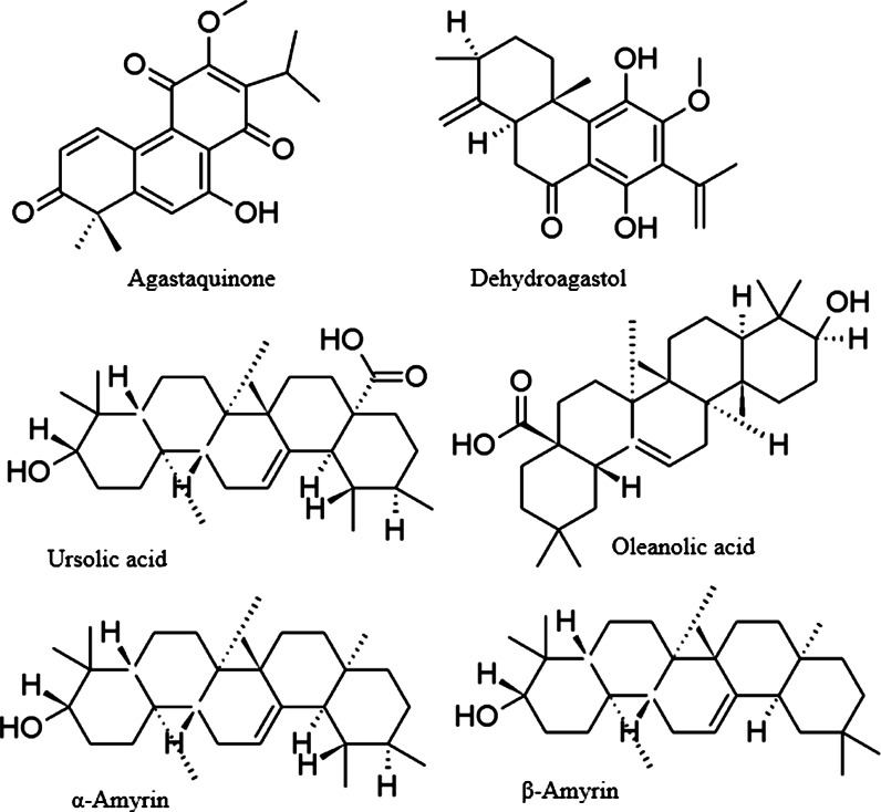 Fig. 5