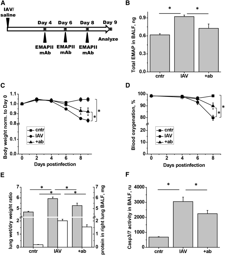 Figure 7