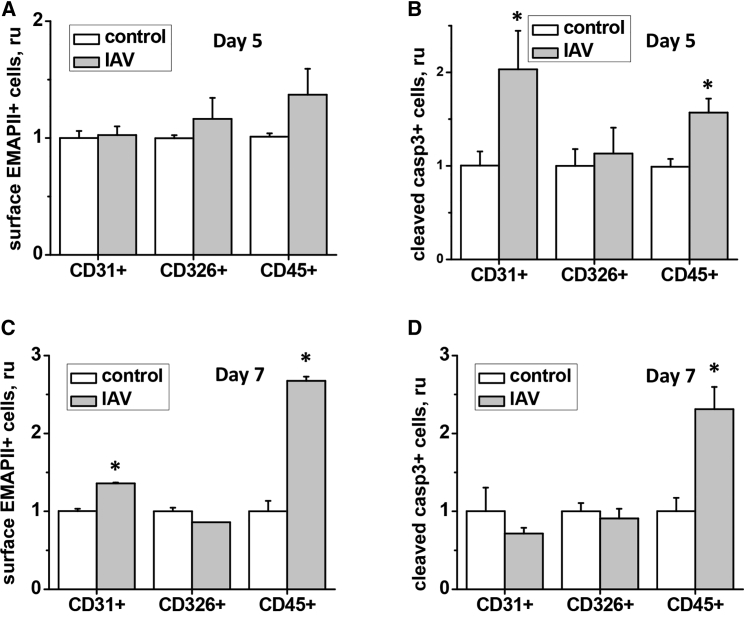 Figure 6