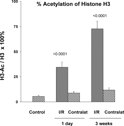 Fig. 11.