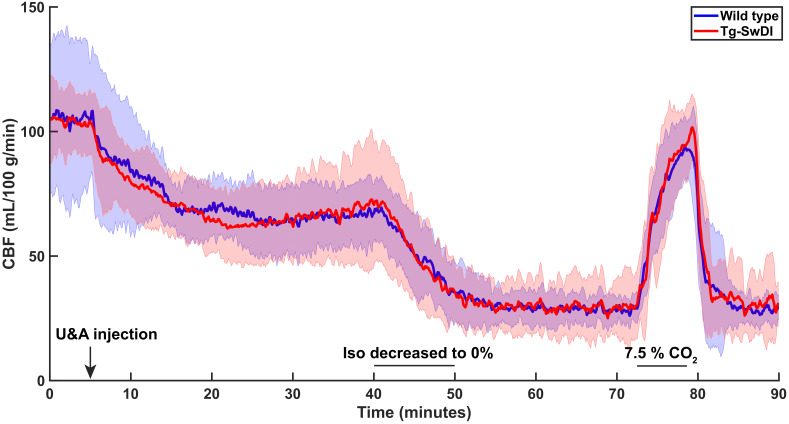 Figure 5—figure supplement 1.