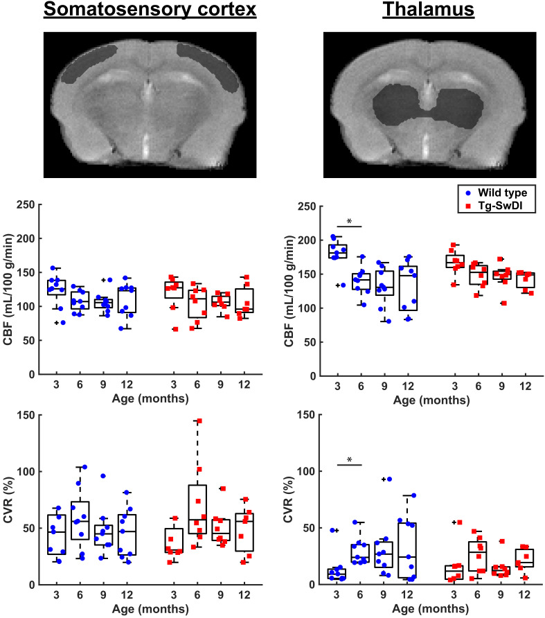 Figure 3—figure supplement 2.