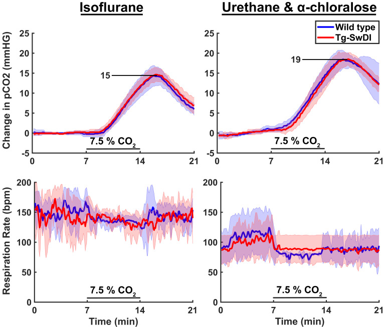 Figure 5—figure supplement 2.