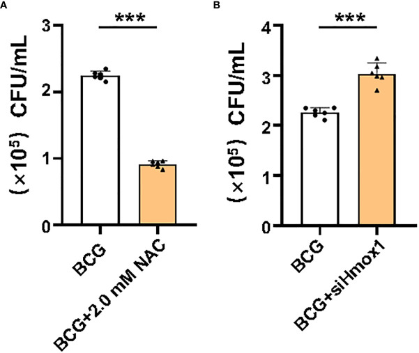 Figure 7