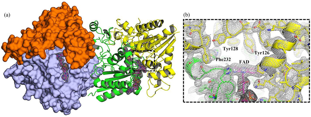 Figure 6: