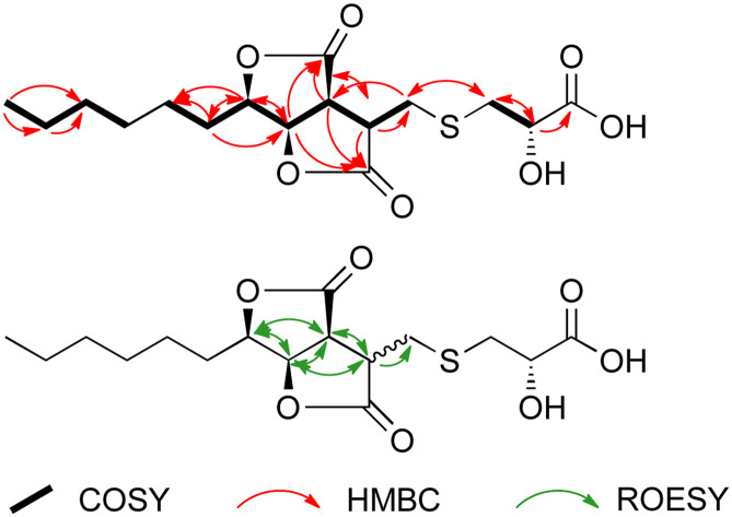 graphic file with name d3ra06542a-ga.jpg