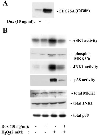 FIG. 7