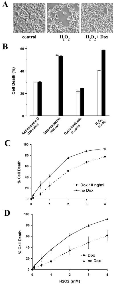 FIG. 8