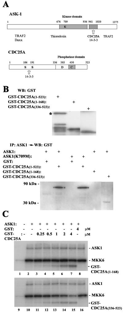 FIG. 5