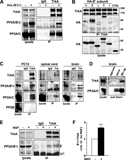 FIG. 7.