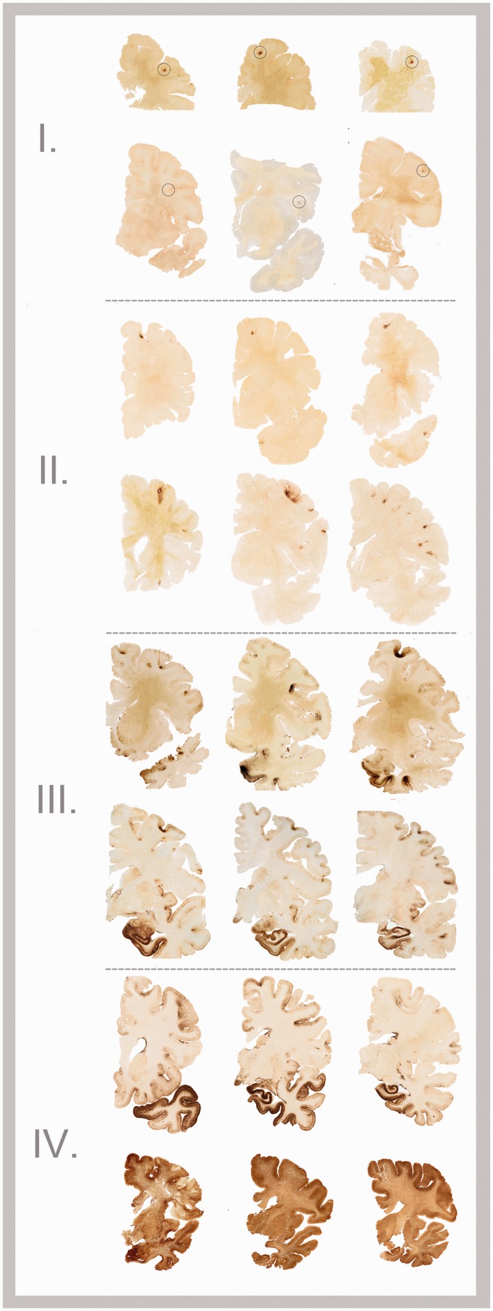 Figure
3