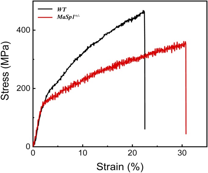 Fig. 6.